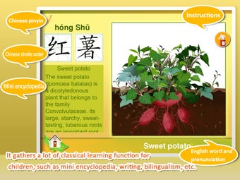 Image 2 for Baby Plants Crops 2