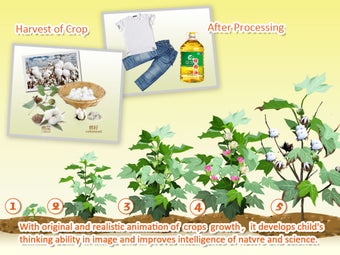 Image 4 for Baby Plants Crops 2