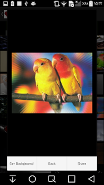 Image 2 for HD wallpaper ( NEW ) 2020