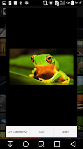 Image 3 for HD wallpaper ( NEW ) 2020