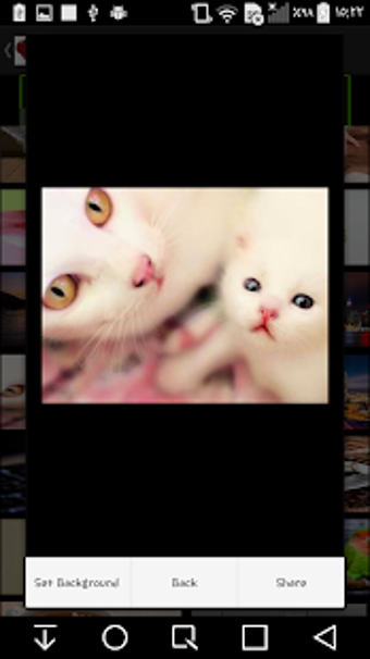 Image 0 for HD wallpaper ( NEW ) 2020
