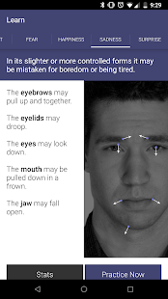 Image 1 for Micro Expressions
