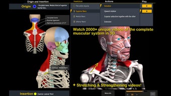 Image 2 for Muscle and Motion Anatomy