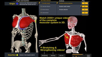 Image 1 for Muscle and Motion Anatomy
