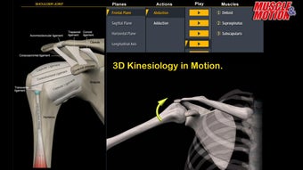 Image 0 for Muscle and Motion Anatomy
