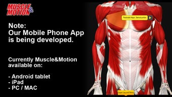 Image 3 for Muscle and Motion Anatomy