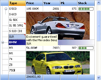 Imagen 0 para TMS Grid Pack(C++Builder …
