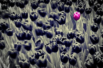 Imagen 2 para Fima Effects Pack