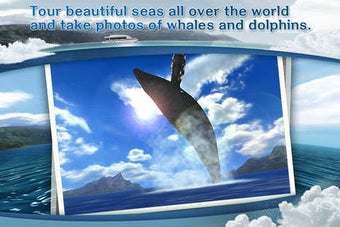 Image 0 for REAL WHALES Find the ceta…