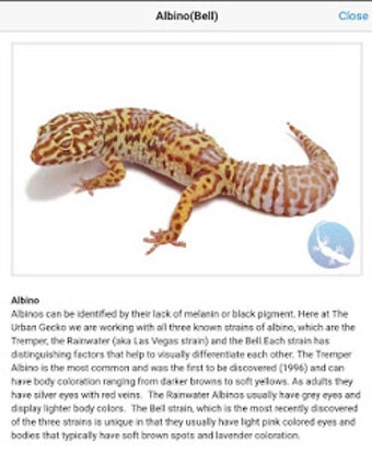Imagen 2 para Gecko Genetic Calculator