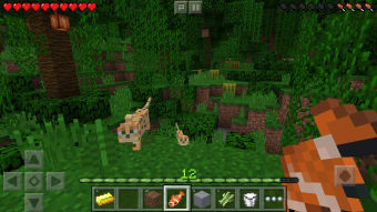 Image 1 for Minecraft