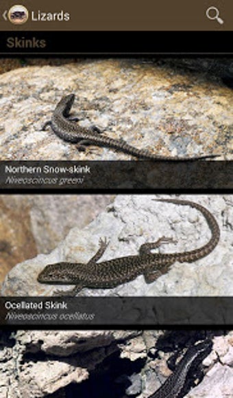 Image 2 for Field Guide to Tasmanian …