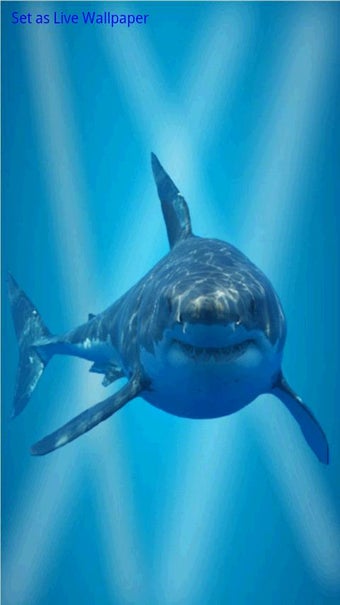 Image 0 for Hungry Shark is Angry