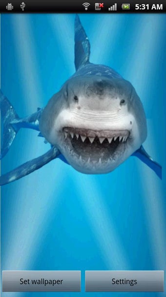 Image 1 for Hungry Shark is Angry