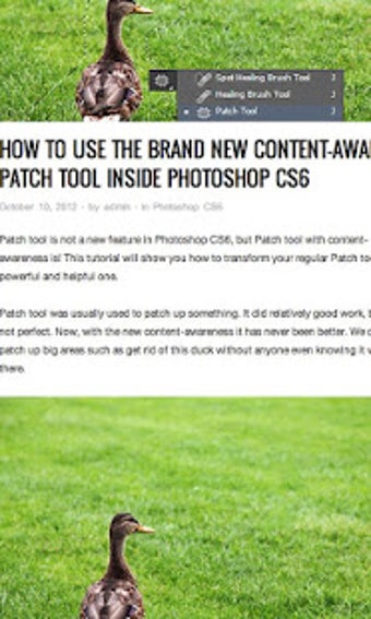 Imagen 1 para Tutorials for Photoshop C…