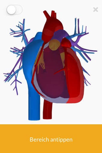 Image 0 for 3D Anatomie teachr