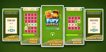 Imagen 0 para Fury Puzzle