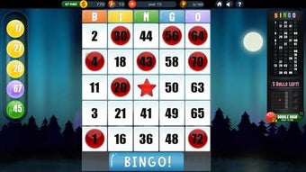 Imagen 0 para Absolute Bingo for Window…