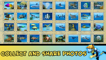 Image 3 for Divemaster - Scuba Diving…