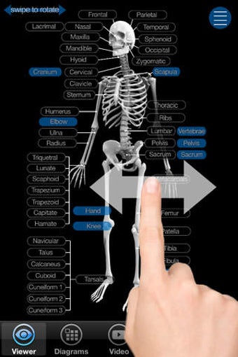 Imagen 0 para Skeletal Anatomy 3D - Qui…