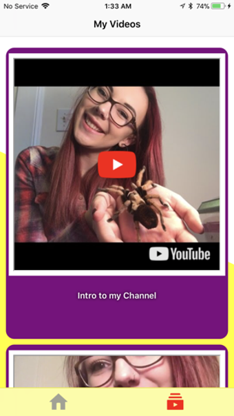 Image 1 for Payden Tarantulas