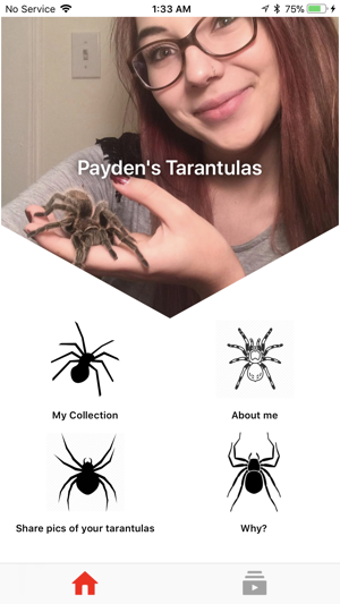 Image 3 for Payden Tarantulas