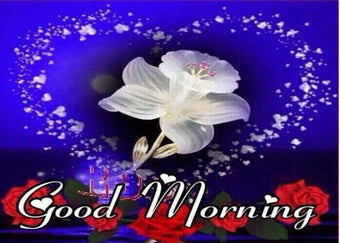 Image 0 for Good Morning GIF 2019