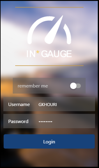 Image 1 for Swift In*Gauge