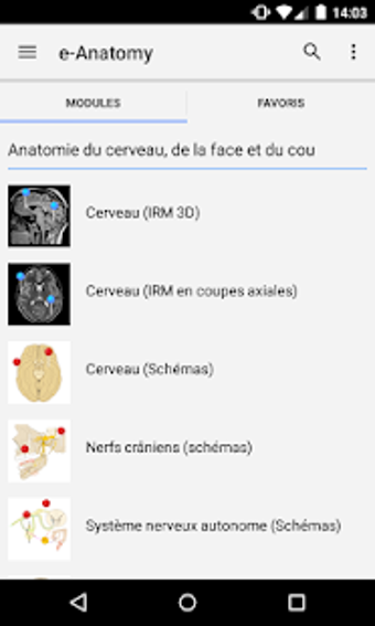 Imagen 2 para e-Anatomy