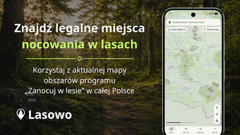 Imagen 0 para Lasowo - Zanocuj w lesie