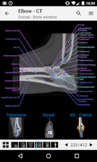 Image 1 for vet-Anatomy