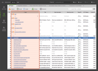 Imagen 0 para WebSite Auditor Enterpris…