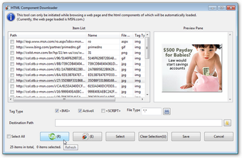 Image 2 for Risingware Browser