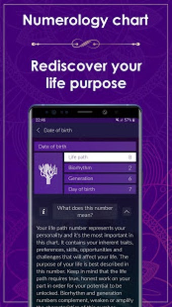 Imagen 1 para Numerology - Rediscover Y…
