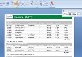 Imagen 0 para Report Builder for Micros…