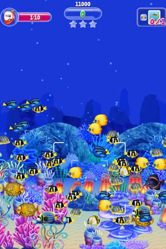 Image 0 for Fishy Ola - Fish Paparazz…