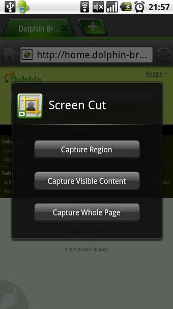 Image 2 for Dolphin Screen Cut