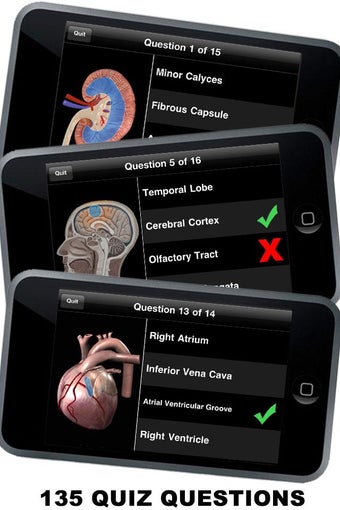 Image 5 for Anatomy 3D: Organs