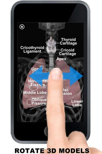Image 1 for Anatomy 3D: Organs