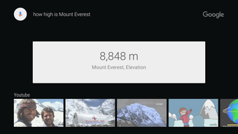 Image 2 for Google app for Android TV