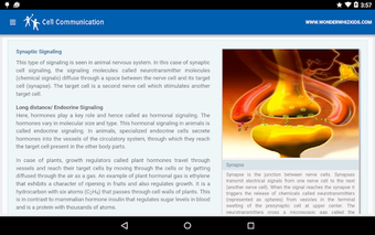 Image 0 for Cell Communication