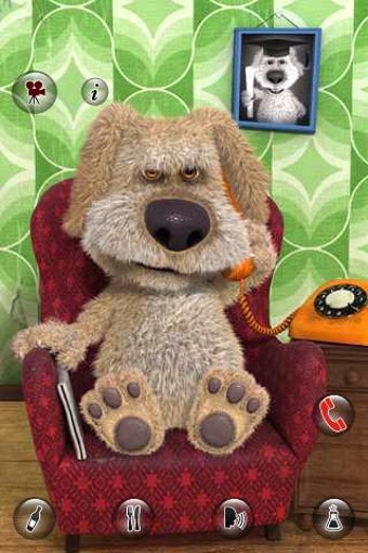Image 0 for Talking Ben the Dog