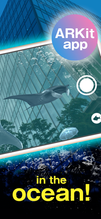 Image 1 for AR TOUR OCEAN