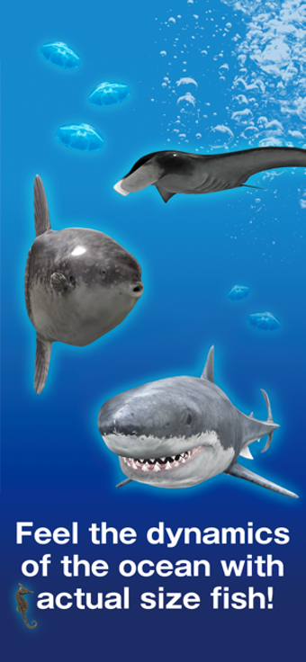 Image 2 for AR TOUR OCEAN