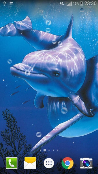 Imagen 1 para Dolphin Live Wallpaper PR…