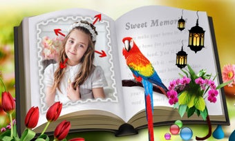 Image 0 for Book Photo Frames