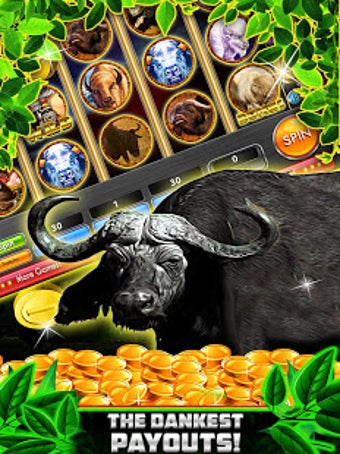 Image 2 for Wild Buffalo Safari HD Sl…