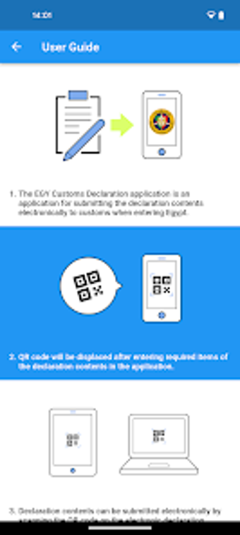Image 0 for EGY Customs Declaration A…