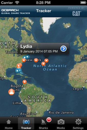 Image 1 for Global Shark Tracker