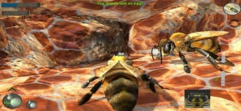 Image 3 for Bee Nest Simulator Full